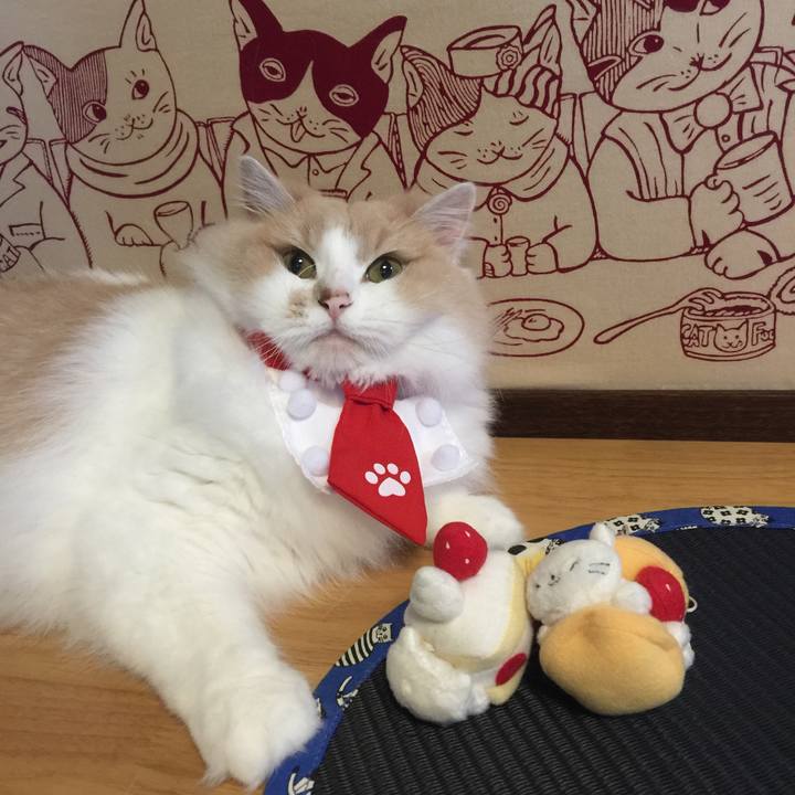 16763db4 e3de 47b6 b359 4bd43d33141a 1568257674093