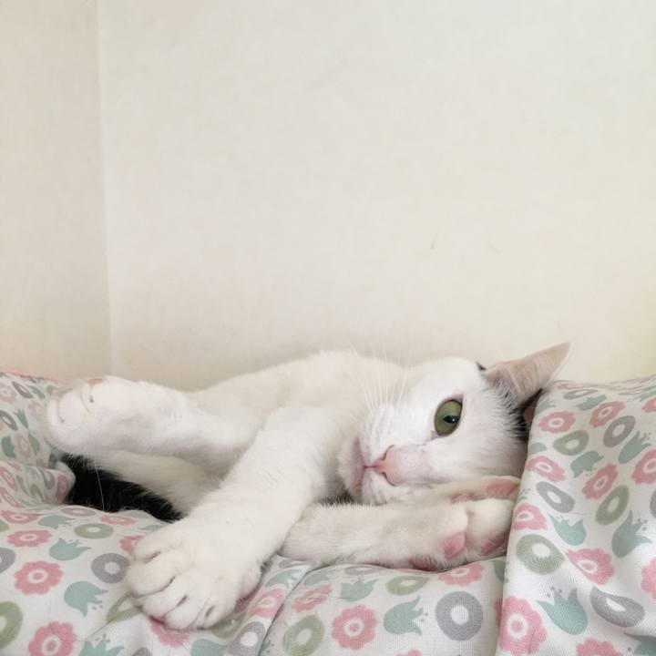 16765616 ff6b 4ef3 bcc2 3ae819c05ca8 1552873180728