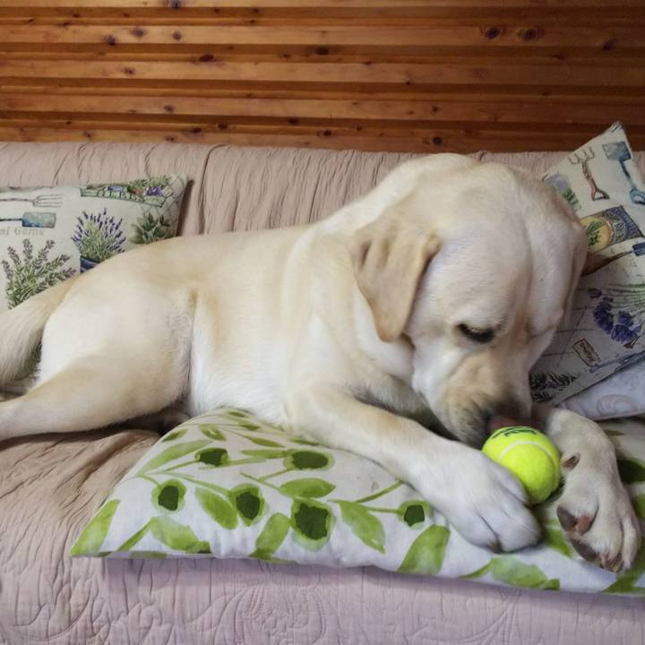 16768642 3e49 400c be8b 2d3e1aba76fe 1566558991697