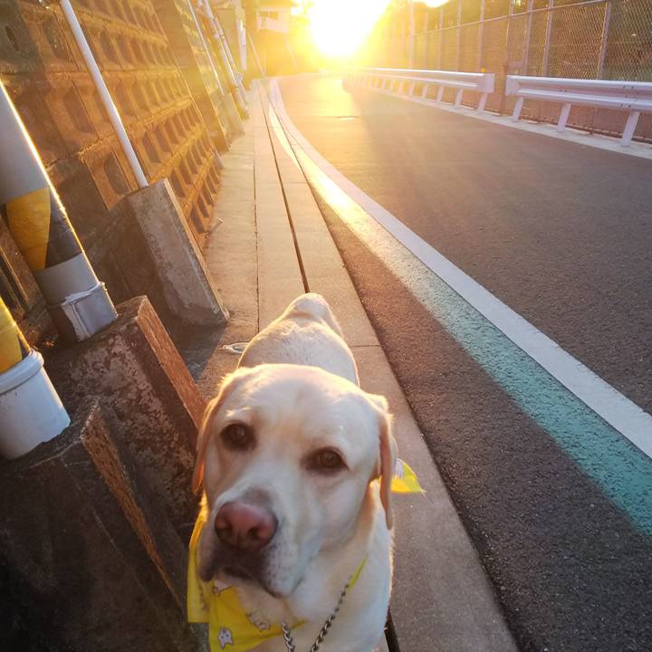 16768749 28d7 443d b397 67be62806051 1542181164031