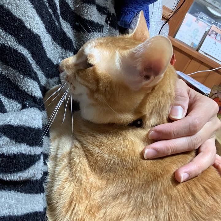 1676896b 39bc 4e2a ae5c 9df8d8ca3b67 1608900396165