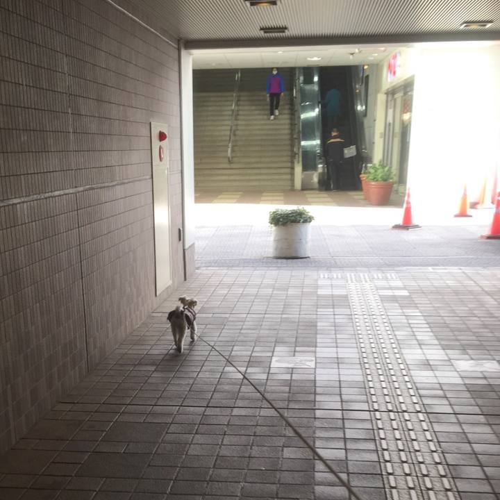 167693bd 87f7 484d a7b3 3be4355dc297 1513501910124