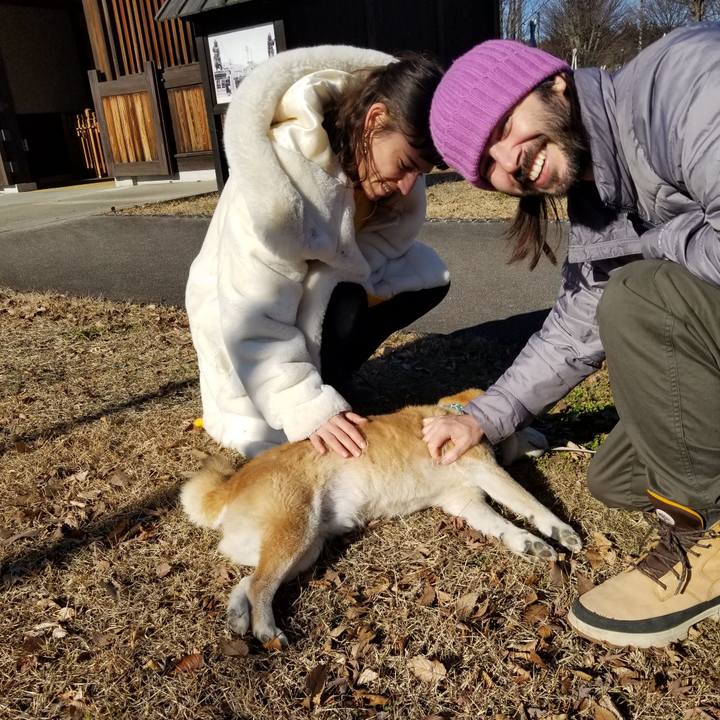 16769adb 541c 4dcc af4f f508d3d351d1 1704428323581