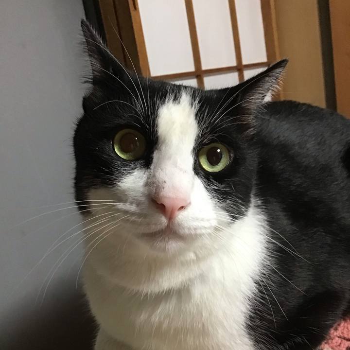 16769bd5 773d 48ea 9130 11e7aab99fa0 1726740734098