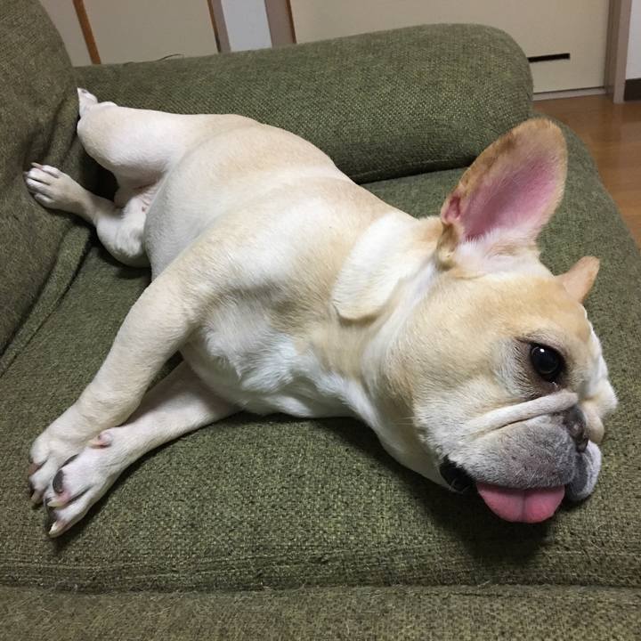 1676a40c 896b 4273 883e cdbad71aa351 1511185596064