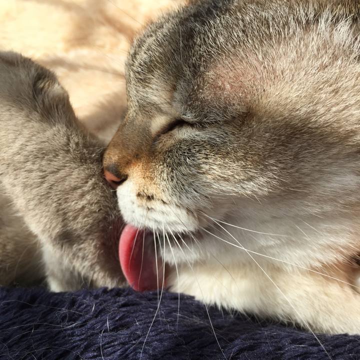 1676b192 a1f8 4ec9 a782 d75674a16773 1520571957824