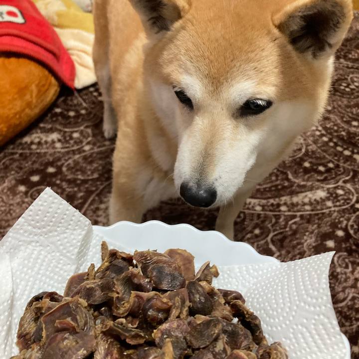 1676d57f 15b4 4c00 95cf 66e58b8bcc77 1615881388952