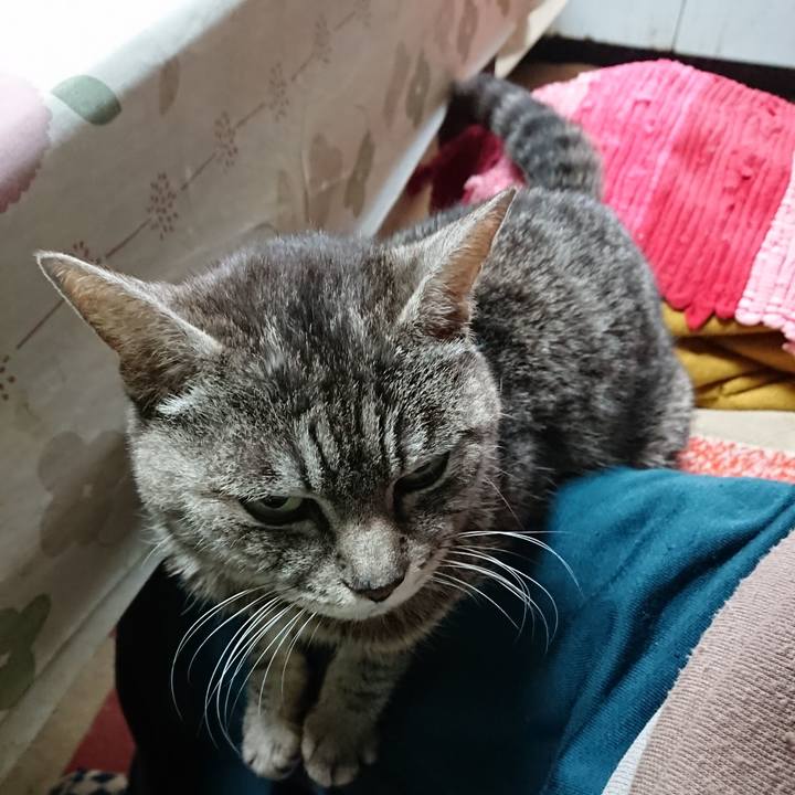 1676eb56 ab71 41e3 b192 56835206c0f7 1553380632041