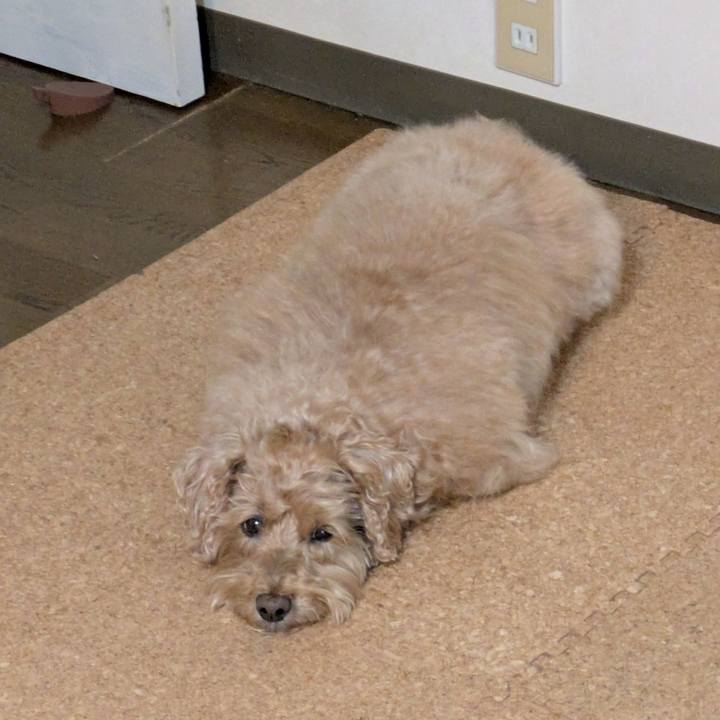 1676f688 86c2 4c9b 9459 7d53b265f6c7 1746748199675