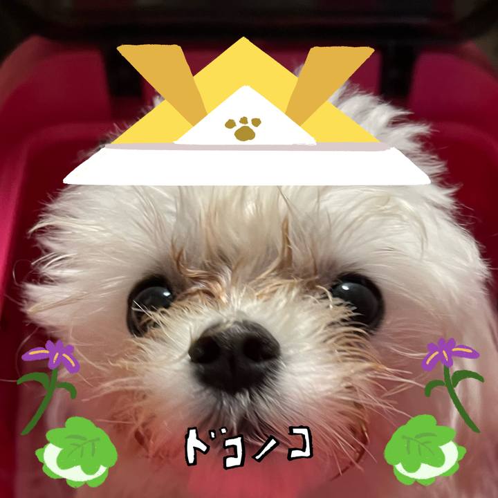 16770a7c 4ec7 4e30 95e9 f3daea7f10ec 1714880181766