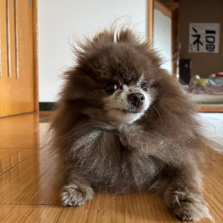 1677114a de6b 4178 9af3 7e42192cc37d 1751574046577