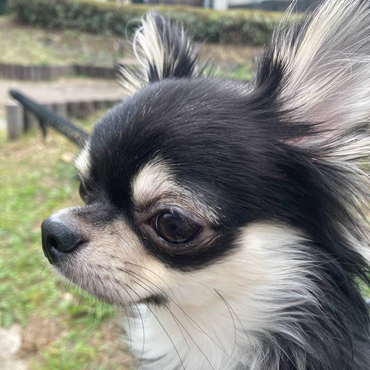 167726b6 0b46 4e71 bb69 708be811e41e 1604811667087