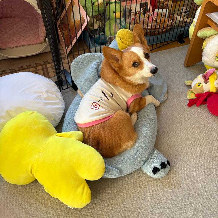 16773c4c 859e 409b 9332 e8872d046986 1772935748157