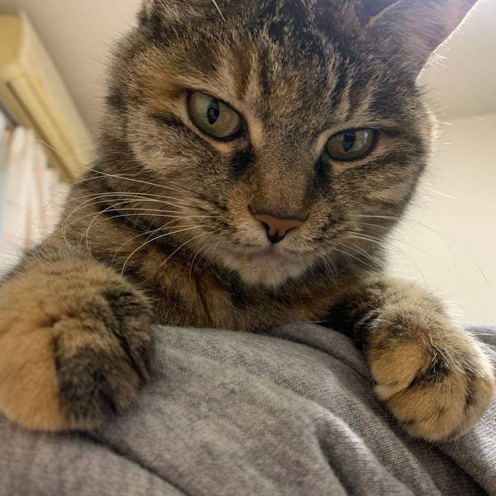 16774727 a1a4 4aa8 8fd9 6e26614bc732 1735617549838