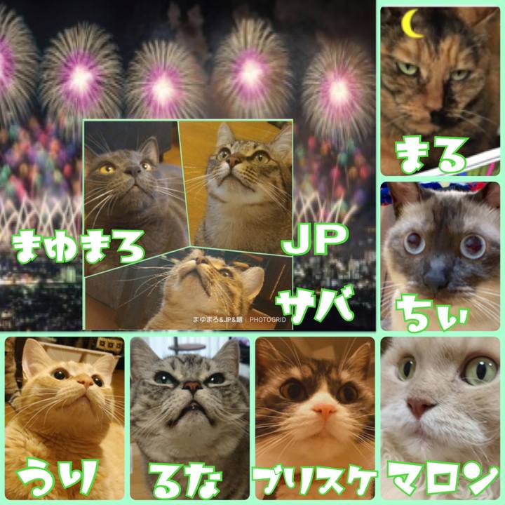 16774949 a209 4d0e bfd7 688425c3bf71 1564749268907