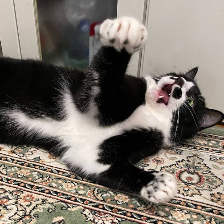 167765af 6f34 471f b843 4ac2831d7136 1695644001925