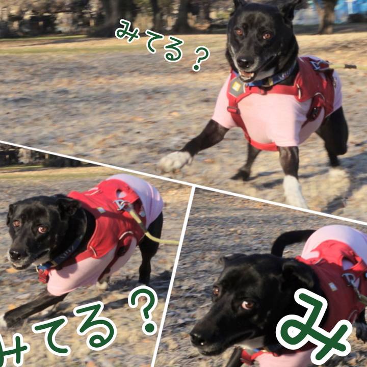 167768aa f30d 48d0 b7c9 8005e4f7e7e4 1673140064461