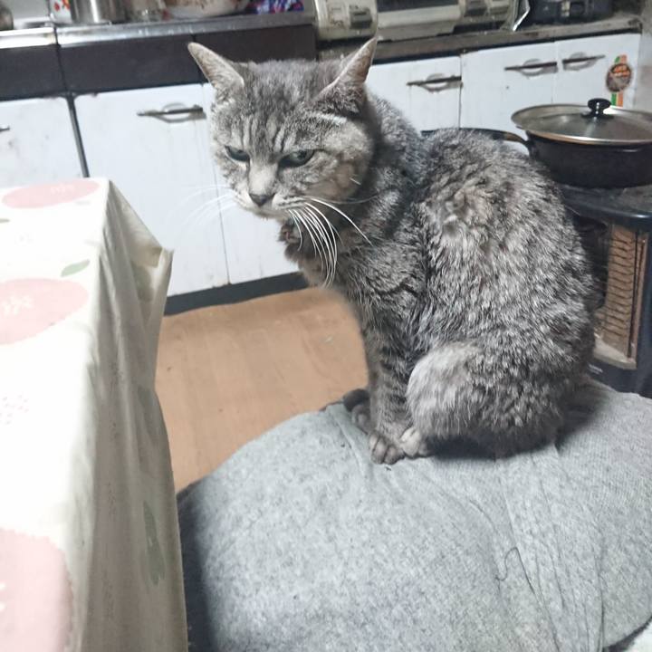 1677813a 947a 4dbc 82fd 5d813982e8c0 1575578178098