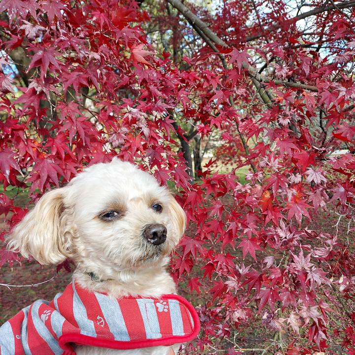 1677927a 07f8 4cee 960e 1b4d9a663683 1638075891835