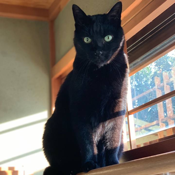 1677a41c d3f2 4fef 829d 7db1f14a679f 1581728759323