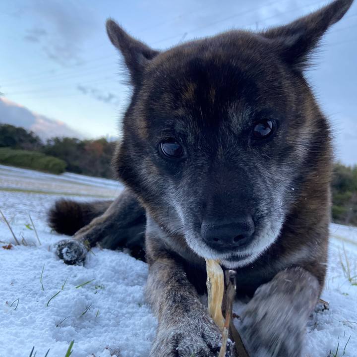 1677b1ce dd21 4fef bcdd e851d7fb827a 1608070983781