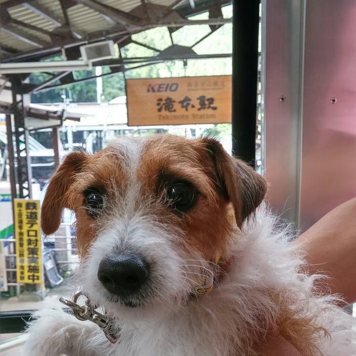 1677ddbf 5393 4673 88b8 785666e290d3 1537078560242