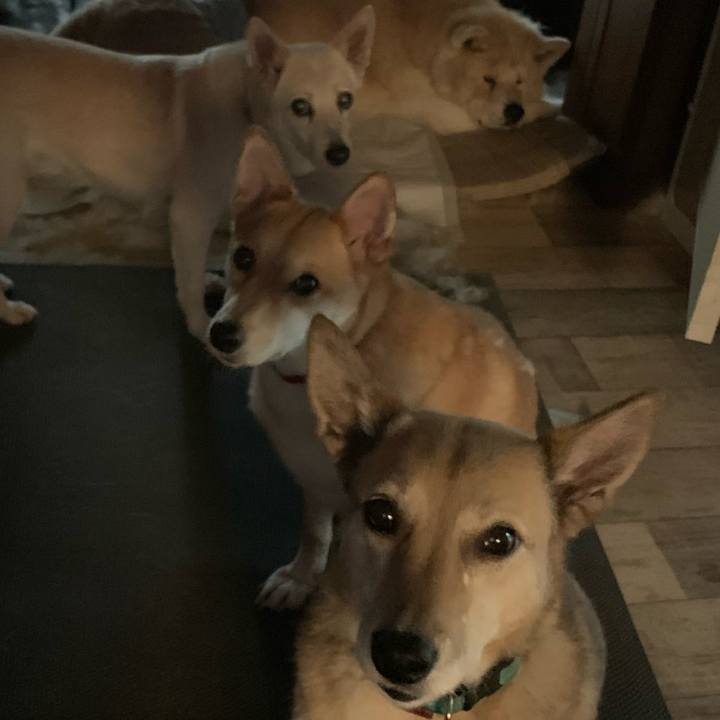 16780a23 dc77 4351 a1c3 10de99edaf97 1658566456805