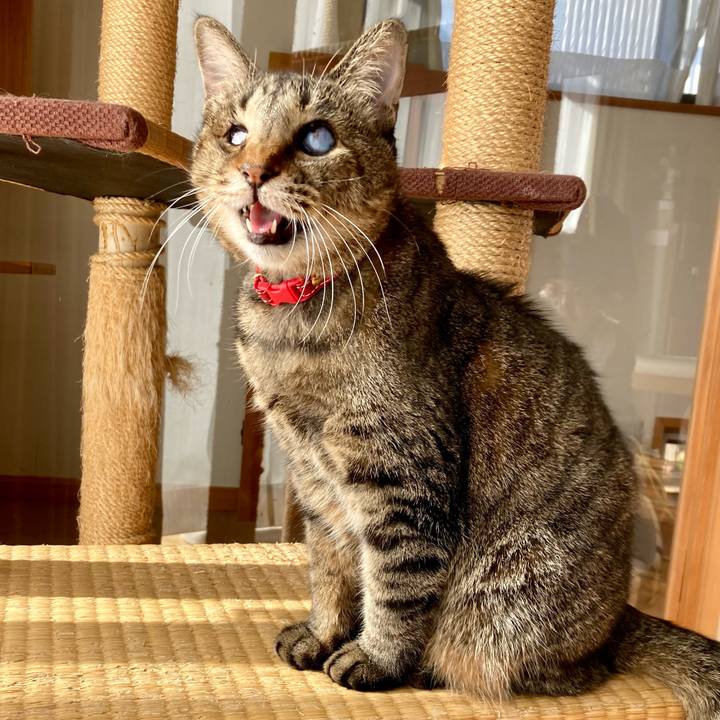 167830c0 da72 49f9 bf2c 86372236a892 1638615521322