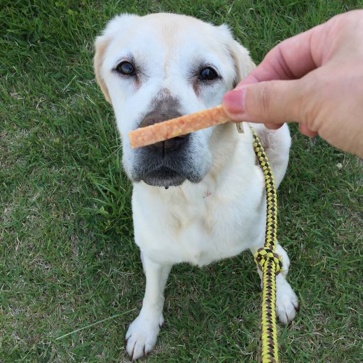 16785ba4 6ac5 463e b403 6007153a78d8 1526975178180