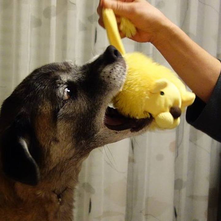 16787899 5a48 47fc b299 dd5bd89d1586 1507733717795