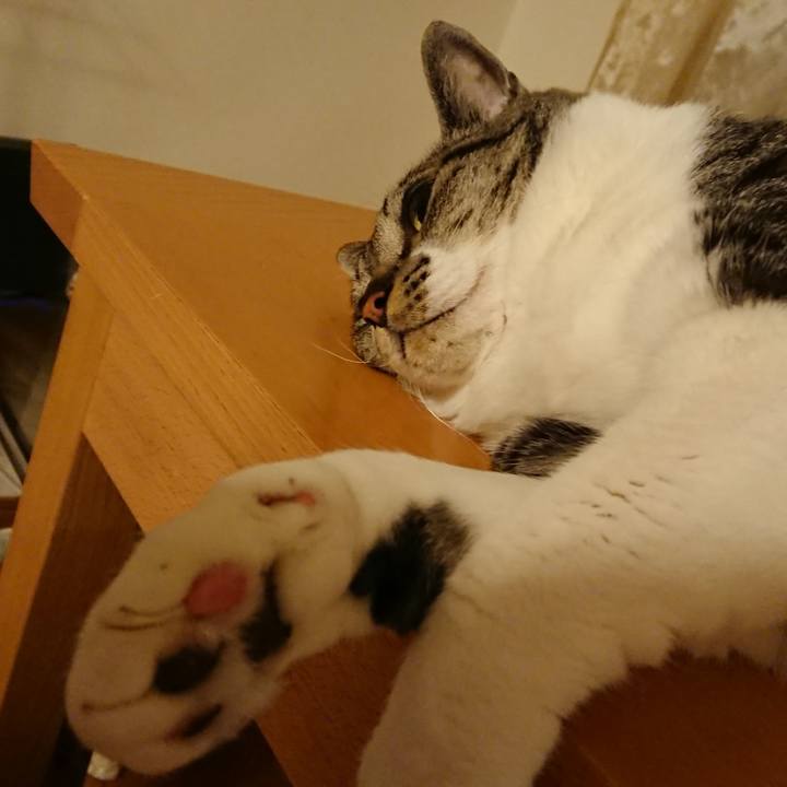 167883d3 0cc1 4376 95c9 4ae276d4c41a 1525760083442