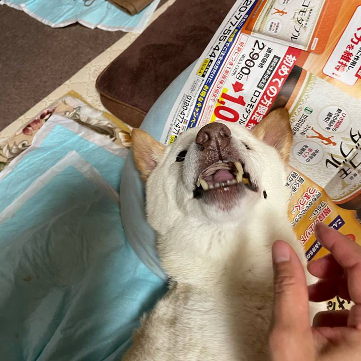 16788655 3348 44f0 a934 3522cc9dcb4d 1658755805759