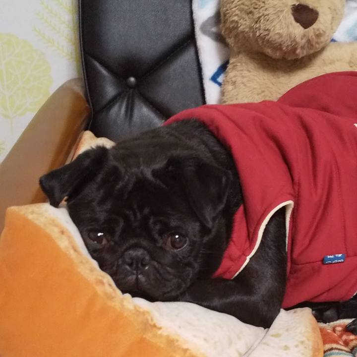 167892ce 087b 4695 8c9a d1114166b23d 1577632107703