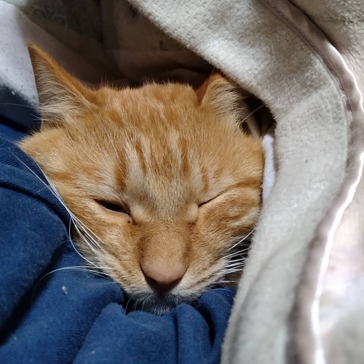 1678a768 cf92 4cc9 8492 d33a3a2bfd8c 1700655124974