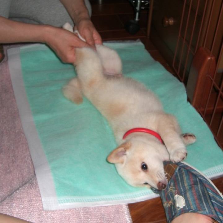 1678c1ea 30d2 4deb ab68 9f755cfd5fa1 1669825014030