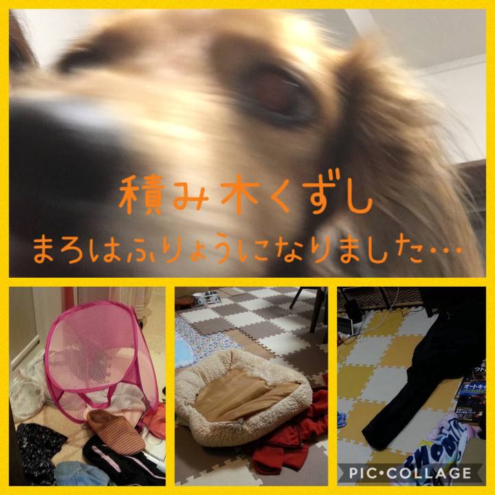 1678c50c 788a 4abc 9e83 540b5933fab3 1571319308902