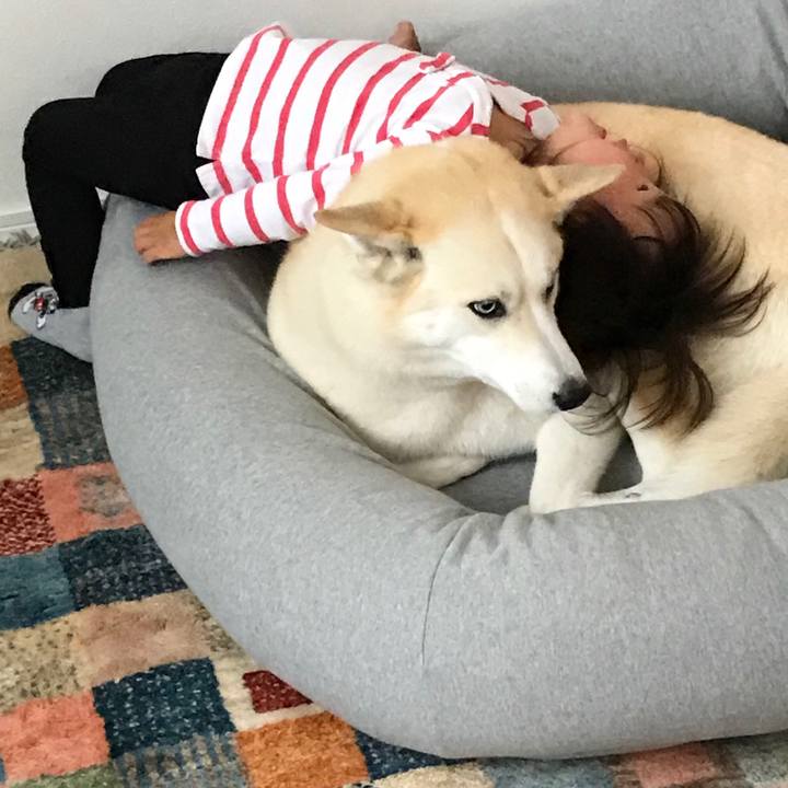 1678c5d0 2957 48dc 86b2 c1fc09920024 1523694470111