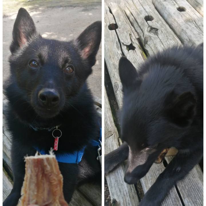 1678d925 814a 4a16 8320 d24932187e0f 1622242727243