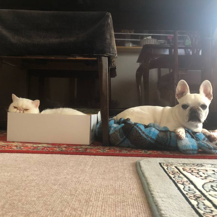 1678ed34 bbc9 4373 8343 c6129fb19386 1652575375796