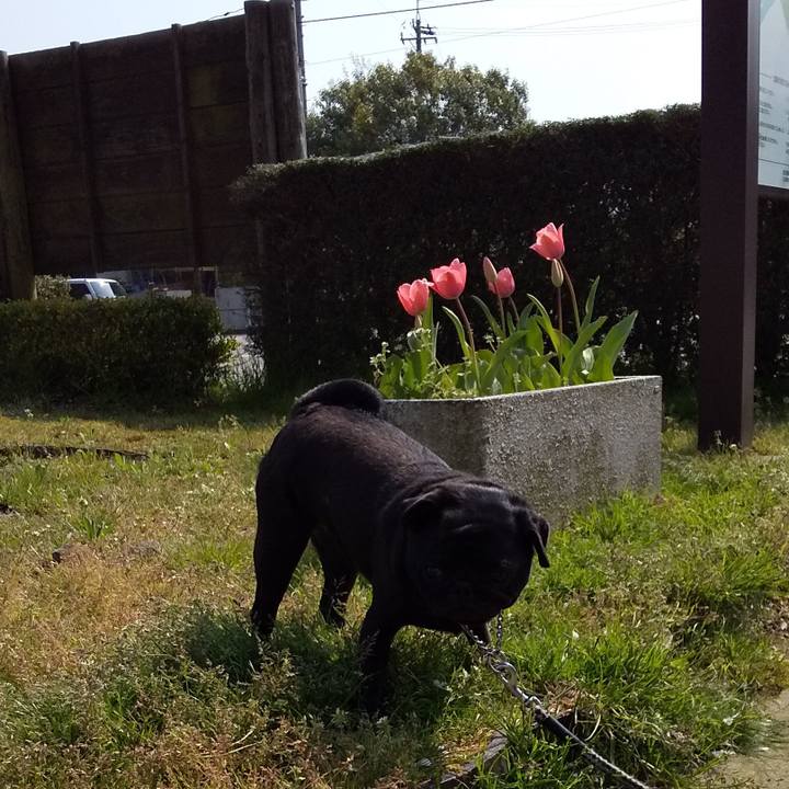 1678fc54 7e80 4454 a310 2f158bf69706 1586362945516