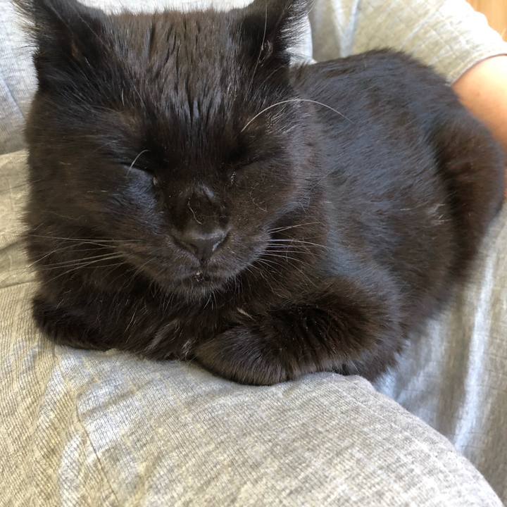 16790ec3 fdb7 41e6 8eaf 1981318e3841 1596400977213