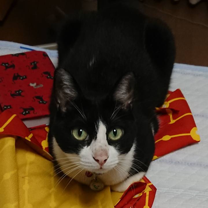 16791203 eac1 4b57 af91 769183291104 1663373381631