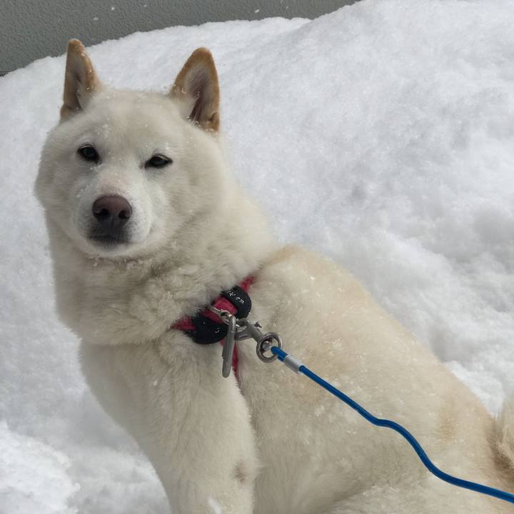 16792eab 0663 4df1 b2c8 9f30991dc334 1549544311636