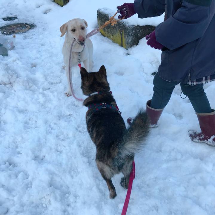 16794f72 3a56 4bd1 82c2 9594509f6c11 1517441838559