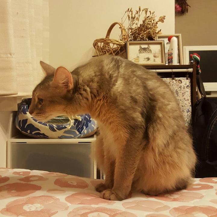 16796f93 0d04 4553 8a0b 530bd90ad40f 1568766787737