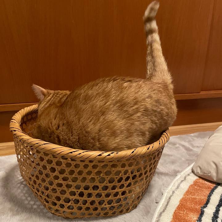 16797961 0dda 4ee2 a238 00417b30d05b 1763983043985