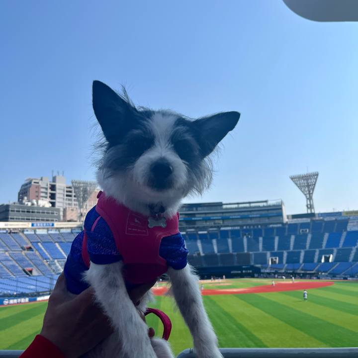 16797af3 68b2 4206 9837 dd0d5415ec61 1742770560033