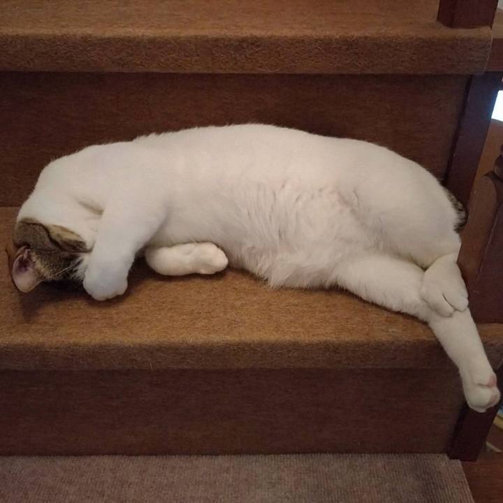 167a0c8c 3da9 489f b0fe 3af937946461 1724388656805