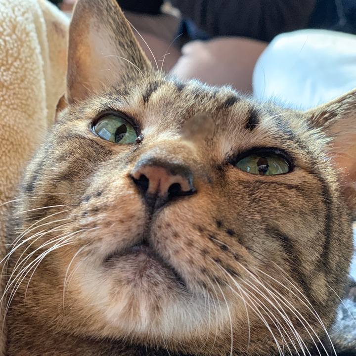 167a3241 d0d8 452e a39c 59d0c2c84f82 1543020526133