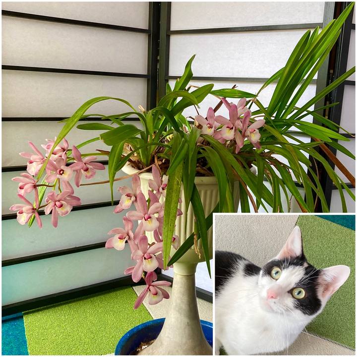 167a5203 606f 448b 848c ff9a33c741ed 1681696628366